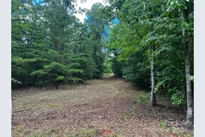 46 N Park Lane, Mill Spring, NC 28756 - Photo 1