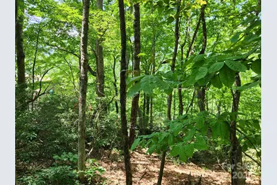 Lot 124, 125, & 101 Banjo Court, Lake Lure, NC 28746 - Photo 7