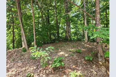 Lot 124, 125, & 101 Banjo Court, Lake Lure, NC 28746 - Photo 3