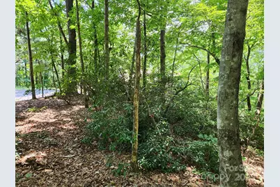 Lot 124, 125, & 101 Banjo Court, Lake Lure, NC 28746 - Photo 5