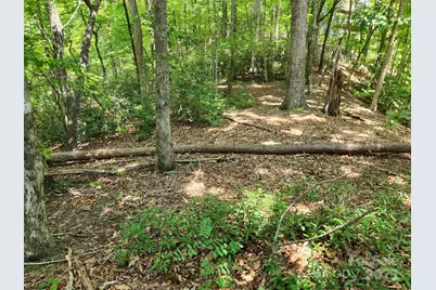Lot 124, 125, & 101 Banjo Court, Lake Lure, NC 28746 - Photo 1