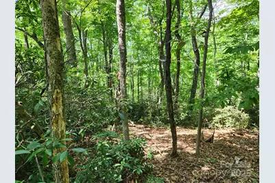 Lot 124, 125, & 101 Banjo Court, Lake Lure, NC 28746 - Photo 9