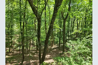 Lot 81, 82, & 88 Walnut Lane, Lake Lure, NC 28746 - Photo 1
