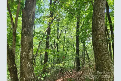 Lot 117, 118, & 132 Summit Court, Lake Lure, NC 28746 - Photo 5