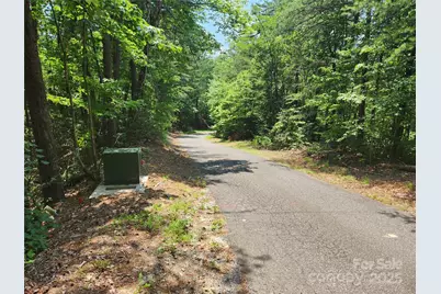 Lot 117, 118, & 132 Summit Court, Lake Lure, NC 28746 - Photo 3