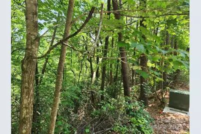 Lot 117, 118, & 132 Summit Court, Lake Lure, NC 28746 - Photo 7