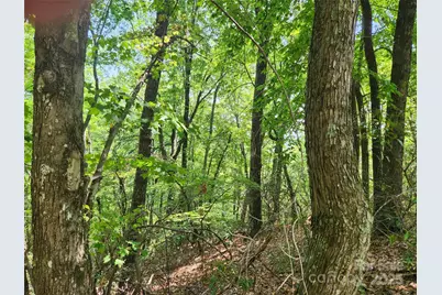 Lot 117, 118, & 132 Summit Court, Lake Lure, NC 28746 - Photo 1