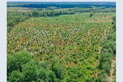 0 Black Creek Church Road, Jefferson, SC 29718 - Photo 11