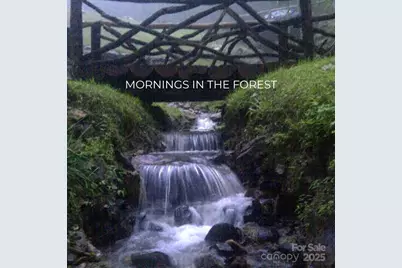 580 Freemont Drive, Leicester, NC 28748 - Photo 41