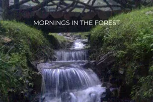 580 Freemont Dr, Leicester, NC 28748 - Photo 41