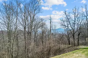 580 Freemont Dr, Leicester, NC 28748 - Photo 31