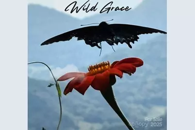 580 Freemont Drive, Leicester, NC 28748 - Photo 47