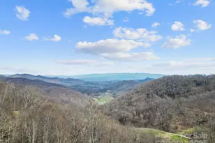 580 Freemont Dr, Leicester, NC 28748 - Photo 29