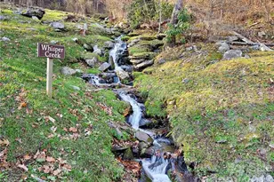 580 Freemont Dr, Leicester, NC 28748 - Photo 19