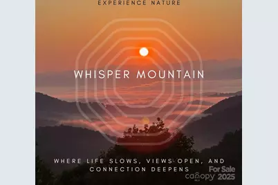 580 Freemont Drive, Leicester, NC 28748 - Photo 39