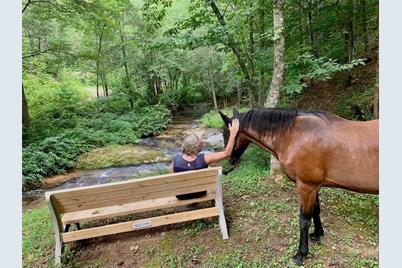 2.35 Acres, Lot G49, 2069 Hitching Post Trail #G49, Lenoir, NC 28645 - Photo 29