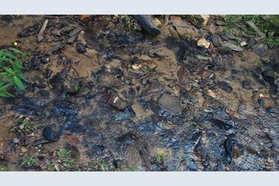 4157 Kirby Mountain Road, Lenoir, NC 28645 - Photo 19