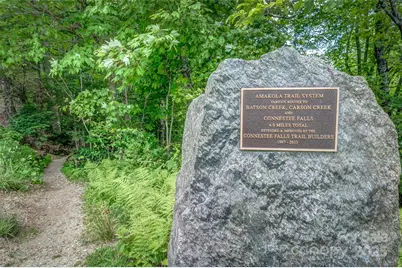 406 Tlvdatsi Drive, Brevard, NC 28712 - Photo 19