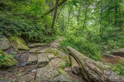 406 Tlvdatsi Drive, Brevard, NC 28712 - Photo 17