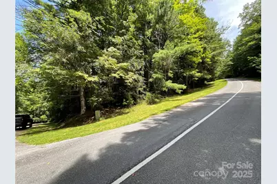 406 Tlvdatsi Drive, Brevard, NC 28712 - Photo 3