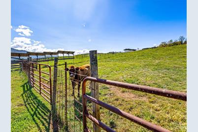 192 Ratcliff Cove Road, Waynesville, NC 28786 - Photo 39