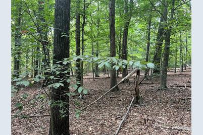 0 Fox Mountain Road #9, Columbus, NC 28722 - Photo 3