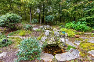 616 Old Growth Forest Rd, Burnsville, NC 28714 - Photo 13