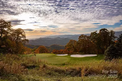 616 Old Growth Forest Road, Burnsville, NC 28714 - Photo 43