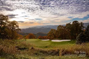 616 Old Growth Forest Rd, Burnsville, NC 28714 - Photo 43