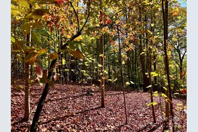 1.85 Acres, Lot 925 High Valley Way #925, Lenoir, NC 28645 - Photo 7