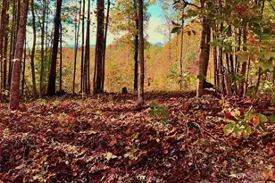1 85 Acres Lot 925 High Valley Way, Lenoir, NC 28645 - Photo 1