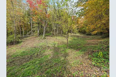 00 Beaverdam Road, Canton, NC 28716 - Photo 7