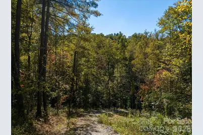 0 Big Hungry Road, Flat Rock, NC 28731 - Photo 27