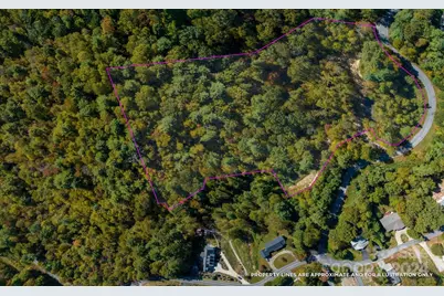 0 Big Hungry Road, Flat Rock, NC 28731 - Photo 13