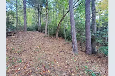 0 Big Hungry Road, Flat Rock, NC 28731 - Photo 19