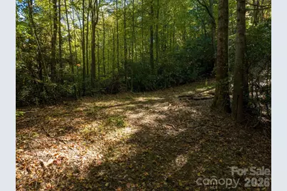 0 Big Hungry Road, Flat Rock, NC 28731 - Photo 17