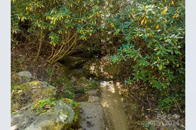 0 Big Hungry Road, Flat Rock, NC 28731 - Photo 23