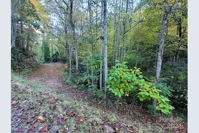 0 Big Hungry Road, Flat Rock, NC 28731 - Photo 9