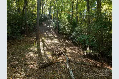 0 Big Hungry Road, Flat Rock, NC 28731 - Photo 29