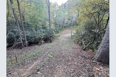 0 Big Hungry Road, Flat Rock, NC 28731 - Photo 23