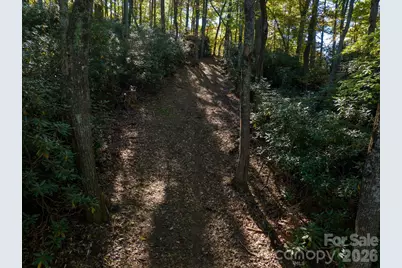 0 Big Hungry Road, Flat Rock, NC 28731 - Photo 15
