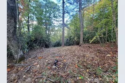 0 Big Hungry Road, Flat Rock, NC 28731 - Photo 13
