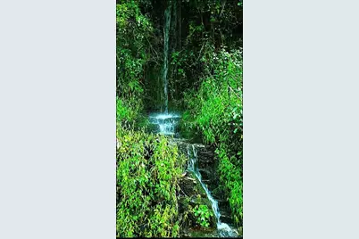 0 Big Hungry Road, Flat Rock, NC 28731 - Photo 37