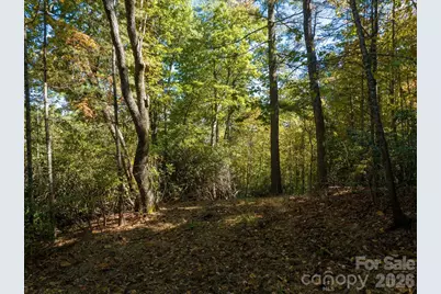 0 Big Hungry Road, Flat Rock, NC 28731 - Photo 31