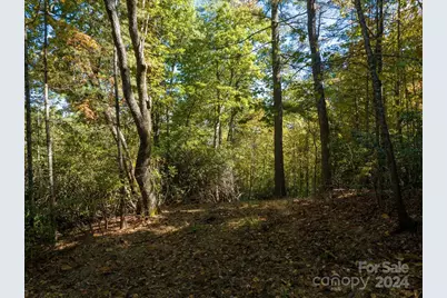 0 Big Hungry Road, Flat Rock, NC 28731 - Photo 25