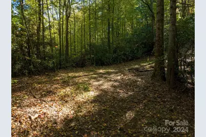 0 Big Hungry Road, Flat Rock, NC 28731 - Photo 27