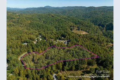 0 Big Hungry Road, Flat Rock, NC 28731 - Photo 3