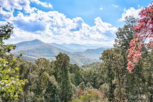 000 High Rock View Dr, Canton, NC 28716 - Photo 1