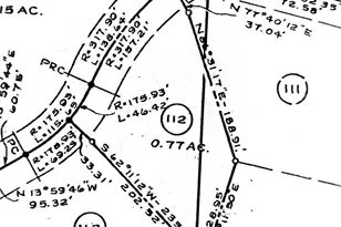 554 Flame Azalea Ln, Mars Hill, NC 28754 - Photo 3