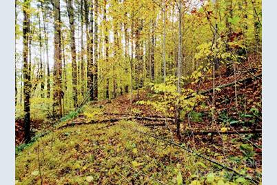 00 Thorncrest Drive #23, Burnsville, NC 28714 - Photo 5